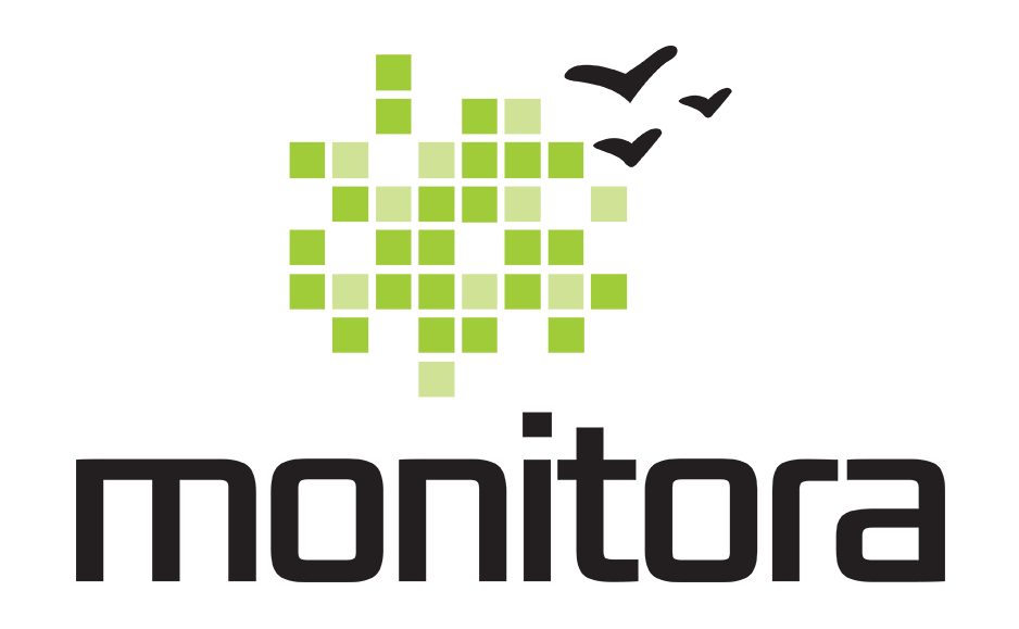 Company Monitora